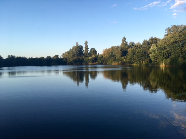 Dronningmølle sø 2018